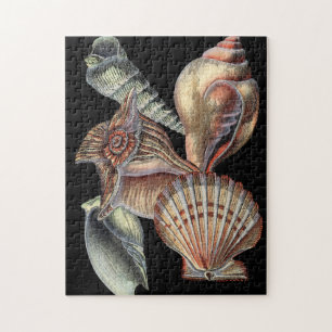 Puzzle Trésors de la mer