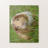 Puzzle Tri Couleur Animal de compagnie Cochon de Guinée d (Vertical)