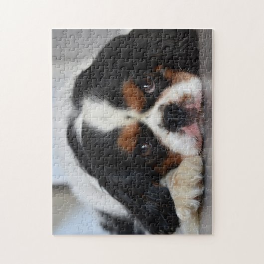 Puzzle Tri Couleur Cavalier King Charles Spaniel Chien Ch (Vertical)