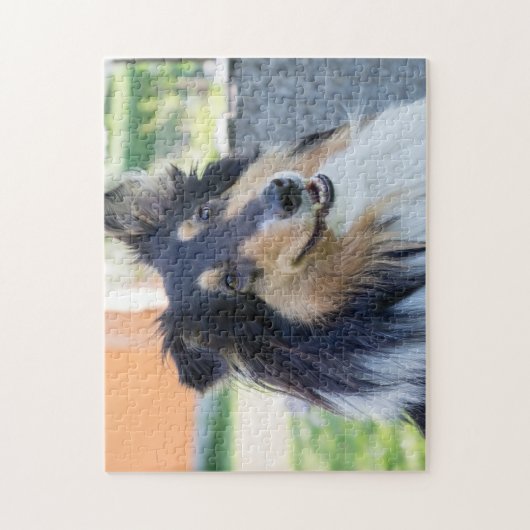 Puzzle Tri couleur Collie Chien Chien Chien Chien Chien C (Vertical)