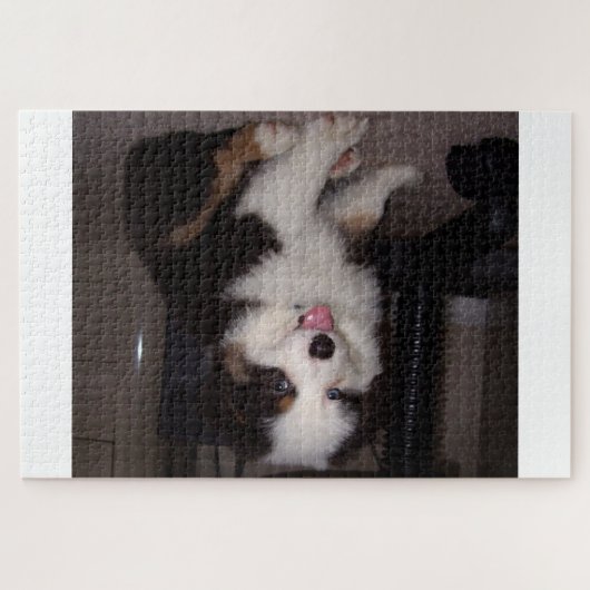 Puzzle tri rouge Chiot mini aussie (Horizontal)