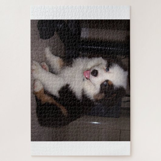 Puzzle tri rouge Chiot mini aussie (Vertical)