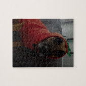 Puzzle trial2 (Horizontal)