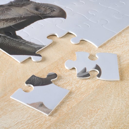 Puzzle Tricératops Dinosaur (Côté)