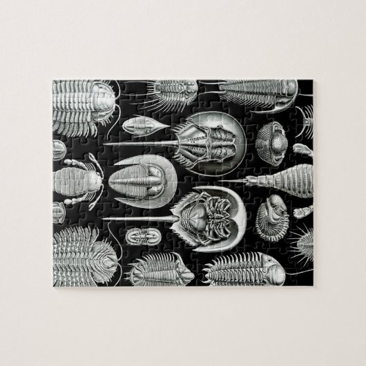 Puzzle Trilobites et fossiles en noir et blanc (Horizontal)