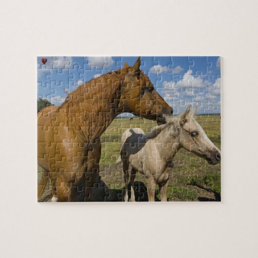 Puzzle Trimestre Horses Texas (Horizontal)