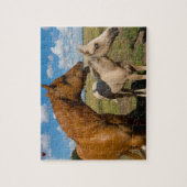 Puzzle Trimestre Horses Texas (Vertical)