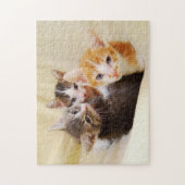 Puzzle Trio Cute Kitten (Vertical)