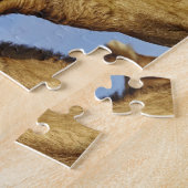 Puzzle Trio de chameaux, marché aux chameaux, Le Caire, E (Côté)