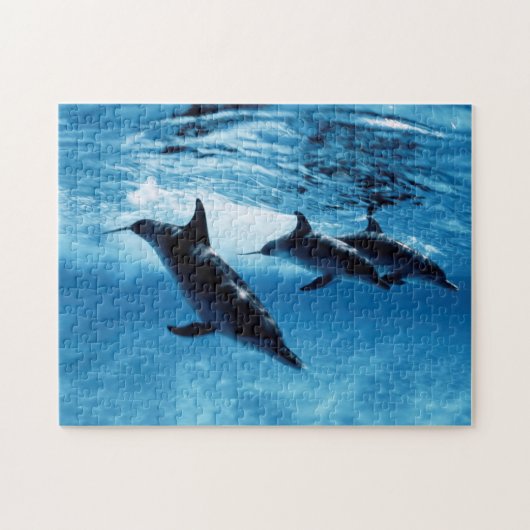 Puzzle Trio de dauphins (Horizontal)