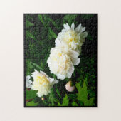 Puzzle Trio de Pivoine Blanche (Vertical)