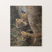 Puzzle Trio des petits Lion de six semaines assis (Vertical)