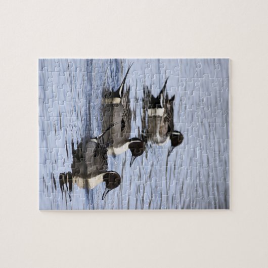 Puzzle Trio Jigsaw (Horizontal)