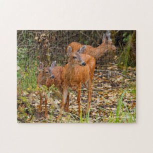 Puzzle Trio superbe de cerfs de queue noire dans la forêt