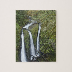 Puzzle Triple Falls, Columbia River Gorge