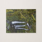 Puzzle Triple Falls, gorge du Columbia (Horizontal)