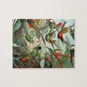 Puzzle Trochilidae de Haeckel (Horizontal)