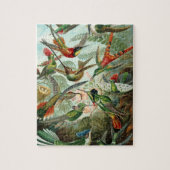 Puzzle Trochilidae de Haeckel (Vertical)