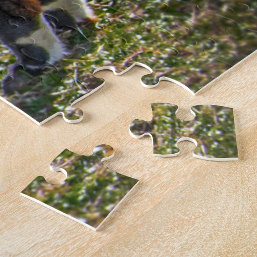 Puzzle Trois Alpacas Amigos (Côté)