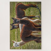 Puzzle Trois Alpacas Amigos (Vertical)
