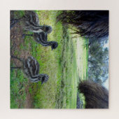 Puzzle Trois Bébés Emu Chicks, (Horizontal)