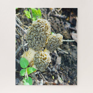 Puzzle Trois champignons gris Morel assis dans les bois