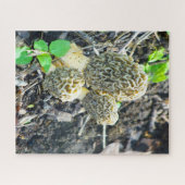 Puzzle Trois champignons gris Morel assis dans les bois (Horizontal)