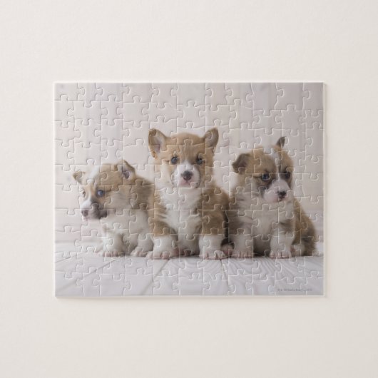 Puzzle Trois Corgi gallois (Horizontal)