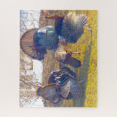 Puzzle Trois dindons mâles en chaleur et une dame photo (Vertical)