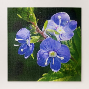 Puzzle Trois fleurs bleues