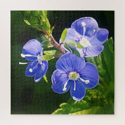 Puzzle Trois fleurs bleues (Vertical)