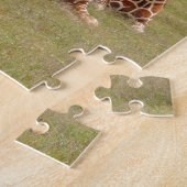 Puzzle Trois girafe à Fossil Rim (Côté)