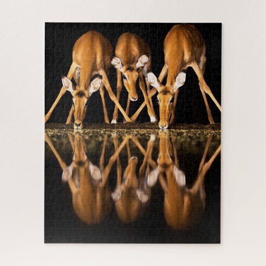 Puzzle Trois impalas boivent ensemble la nuit (Vertical)