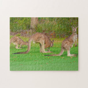 Puzzle trois kangourous