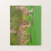 Puzzle trois kangourous (Vertical)