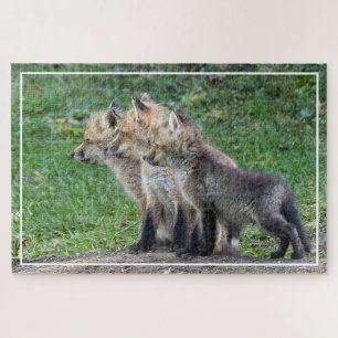 Puzzle Trois Kits Fox