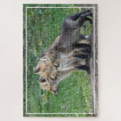Puzzle Trois Kits Fox (Vertical)