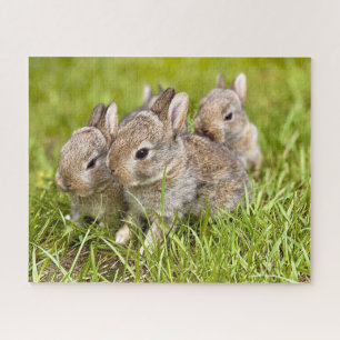 Puzzle Trois lapins dans l'herbe