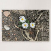 Puzzle Trois marguerites parfaites contre un tronc d'arbr (Horizontal)