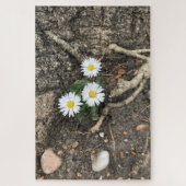 Puzzle Trois marguerites parfaites contre un tronc d'arbr (Vertical)