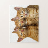 Puzzle Trois mignons Ginger Chat Kittens amis Photo de la (Vertical)