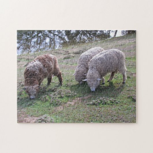 Puzzle - Trois moutons (Horizontal)