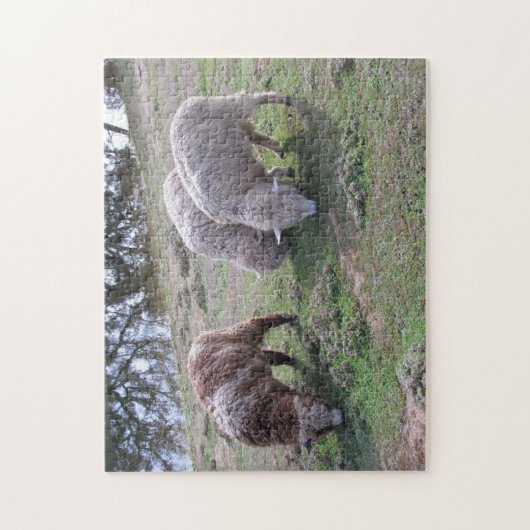 Puzzle - Trois moutons (Vertical)