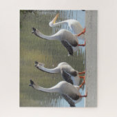 Puzzle - Trois oies et un pélican (Vertical)