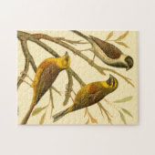 Puzzle Trois oiseaux domestiques perchés sur une branche (Horizontal)