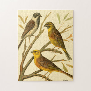 Puzzle Trois oiseaux domestiques perchés sur une branche