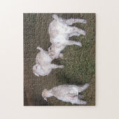 Puzzle Trois Petits Enfants Chèvres (Vertical)