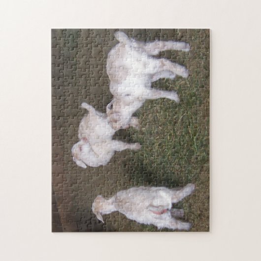 Puzzle Trois Petits Enfants Chèvres (Vertical)