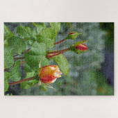 Puzzle Trois rosebules (Horizontal)