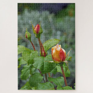 Puzzle Trois rosebules